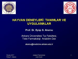 HAYVAN DENEYLER TANIMLAR VE UYGULAMALAR Prof Dr Eyp