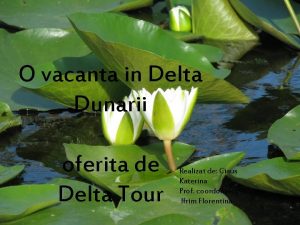 O vacanta in Delta Dunarii oferita de Delta