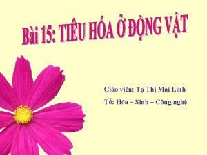 Gio vin T Th Mai Linh T Ha