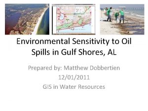 Environmental Sensitivity to Oil Spills in Gulf Shores