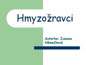 Hmyzoravci Autorka Zuzana Nmekov Systematika l Jsou povaovni