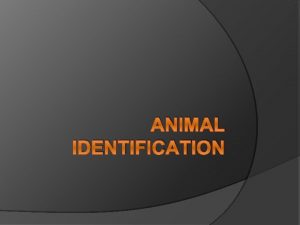 ANIMAL IDENTIFICATION Why is animal identification important Basis