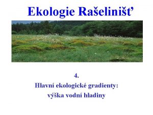 Ekologie Raelini 4 Hlavn ekologick gradienty vka vodn