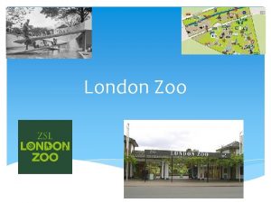 London Zoo London Zoo trtnete A vilg els