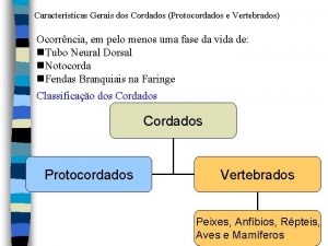 Caractersticas Gerais dos Cordados Protocordados e Vertebrados Ocorrncia