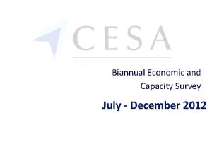 Biannual Economic and Capacity Survey July December 2012