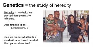 Genetics the study of heredity Heredity how traits