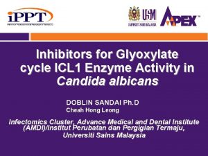 Inhibitors for Glyoxylate cycle ICL 1 Enzyme Activity