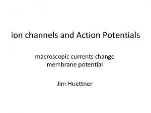 Ion channels and Action Potentials macroscopic currents change