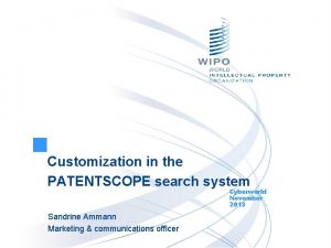 Customization in the PATENTSCOPE search system Cyberworld November