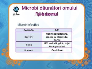 Microbi duntori omului Microb infecios Agent infecios Bacterii