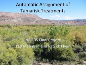 Automatic Assignment of Tamarisk Treatments NR 505 Final