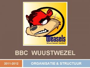BBC WUUSTWEZEL 2011 2012 ORGANISATIE STRUCTUUR Mijlpalen van