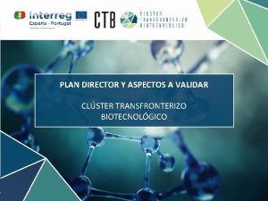 PLAN DIRECTOR Y ASPECTOS A VALIDAR CLSTER TRANSFRONTERIZO