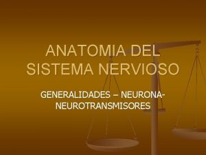 ANATOMIA DEL SISTEMA NERVIOSO GENERALIDADES NEURONANEUROTRANSMISORES SISTEMA NERVIOSO