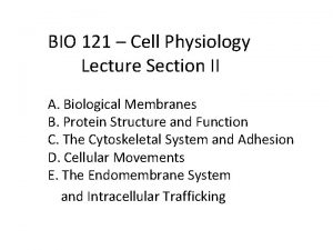 BIO 121 Cell Physiology Lecture Section II A
