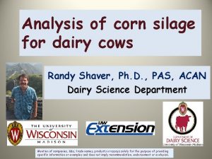 Analysis of corn silage for dairy cows Randy