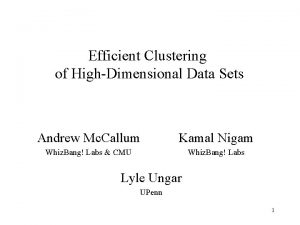 Efficient Clustering of HighDimensional Data Sets Andrew Mc