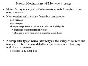 Neural Mechanisms of Memory Storage Molecular synaptic and