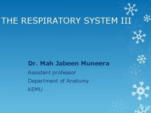 THE RESPIRATORY SYSTEM III Dr Mah Jabeen Muneera
