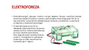 ELEKTROFOREZA Elektroforeza gr elektro struja foreza nositi je