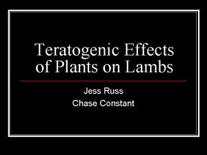 Teratogenic Effects of Plants on Lambs Jess Russ