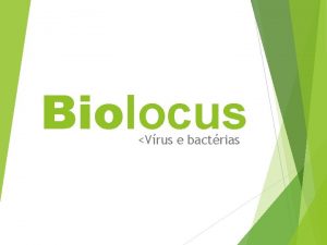 Biolocus Vrus e bactrias VRUS Biolocus Vrus e