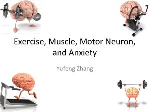 Exercise Muscle Motor Neuron and Anxiety Yufeng Zhang