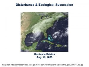 Disturbance Ecological Succession Hurricane Katrina Aug 29 2005