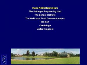MarieAdle Rajandream The Pathogen Sequencing Unit The Sanger