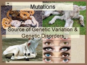 Mutations Source of Genetic Variation Genetic Disorders Objectives