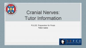 Cranial Nerves Tutor Information PULSE Preparation for Finals