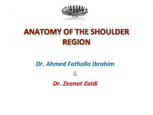 ANATOMY OF THE SHOULDER REGION Dr Ahmed Fathalla
