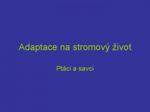 Adaptace na stromov ivot Ptci a savci Adaptace