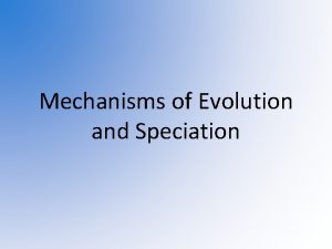 Mechanisms of Evolution and Speciation Objectives Recognize mutation