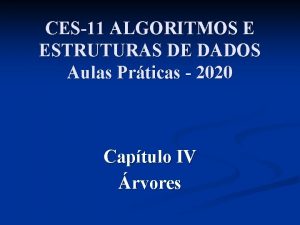 CES11 ALGORITMOS E ESTRUTURAS DE DADOS Aulas Prticas