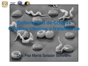 Enfermedad de Chagas Cuadros clnicos y tratamiento Dra