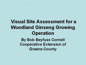 Visual Site Assessment for a Woodland Ginseng Growing