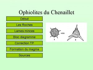 Ophiolites du Chenaillet Dbut Les Roches Lames minces