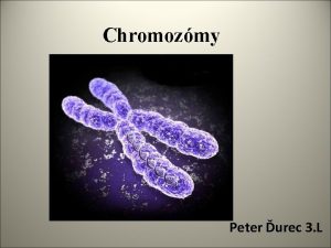 Chromozmy Peter urec 3 L o s chromozmy