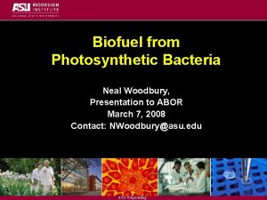 Biofuel from Photosynthetic Bacteria Neal Woodbury Presentation to