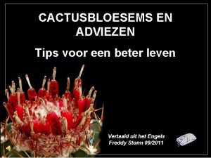 CACTUSBLOESEMS EN ADVIEZEN Tips voor een beter leven