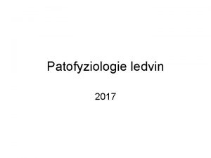 Patofyziologie ledvin 2017 Stavba a funkce ledviny Nefron