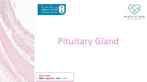 Pituitary Gland Color index Slides Important Notes Extra