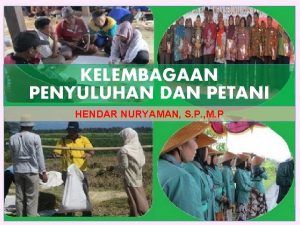 KELEMBAGAAN PENYULUHAN DAN PETANI HENDAR NURYAMAN S P