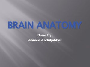 BRAIN ANATOMY Done by Ahmed Abduljabbar Objectives q