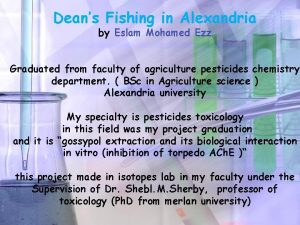 Deans Fishing in Alexandria by Eslam Mohamed Ezz