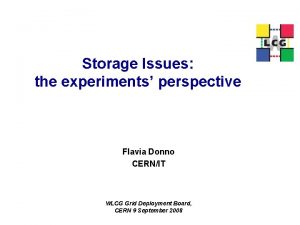 Storage Issues the experiments perspective Flavia Donno CERNIT