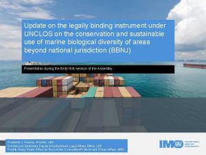 Update on the legally binding instrument under UNCLOS