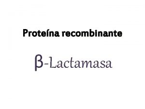 Protena recombinante Lactamasa Tecnologa de DNA recombinante Herramientas